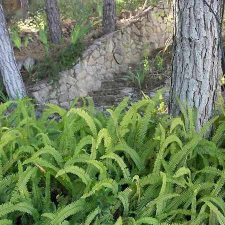 La Pedra Hébergement de vacances