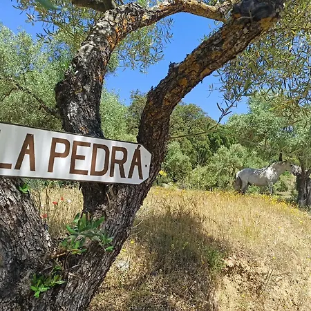 La Pedra Сasa de vacaciones Ronda