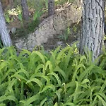 La Pedra 펜션