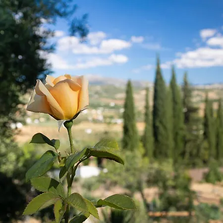 La Pedra Ρόντα