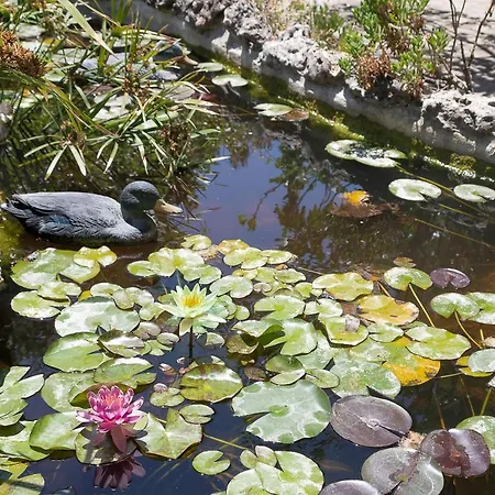 La Pedra Prázdninový dům