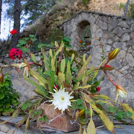 La Pedra Prázdninový dům