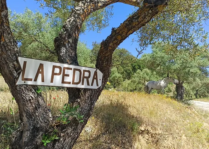 La Pedra Holiday home Ronda