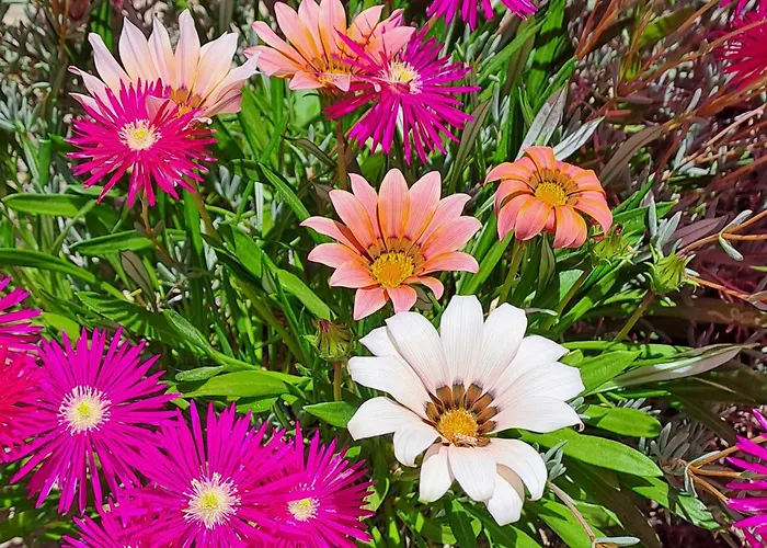 La Pedra Vakantiehuis