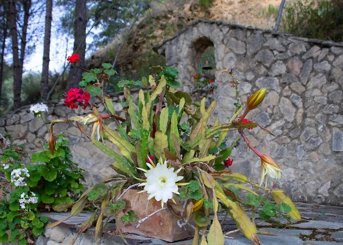 La Pedra Casa de Férias